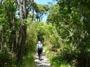 Andrew on a trail at Abel Tasman National Park, Nov 2015